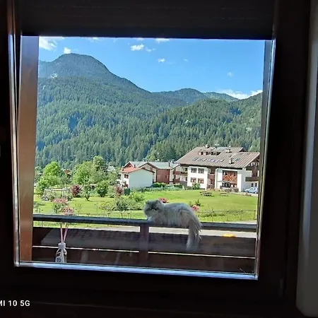 Immersi Nella Natura Vodo Cadore