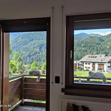 Immersi Nella Natura * Vodo Cadore